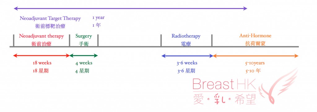 Treatment Timelineneoadjuvant Breast Cancer Hk 香港的乳癌治療資訊
